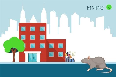 Mice and Rats: Facts, Prevention, and Solutions | NYC Pest Control Guide