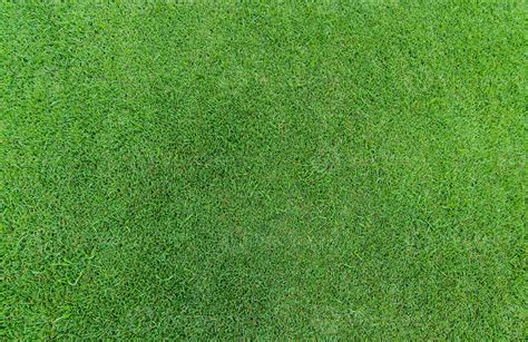 Green grass texture background. Golf course grass. Top view of green grass of turf lawn texture ...