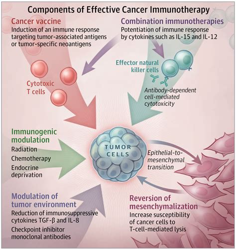 Vaccines as an Integral Component of Cancer Immunotherapy | Targeted ...