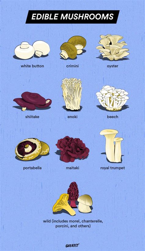 Edible Mushrooms List