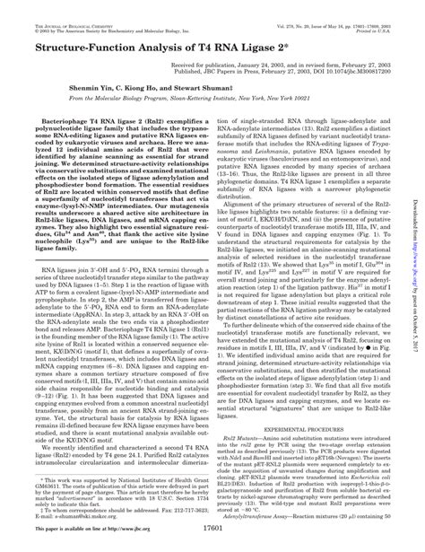 (PDF) Structure-Function Analysis of T4 RNA Ligase 2