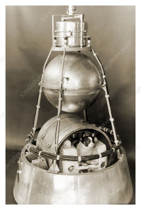 Sputnik 2, scale model - Stock Image - C024/7446 - Science Photo Library