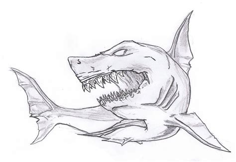 Megalodon Shark Drawing at PaintingValley.com | Explore collection of ...