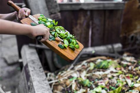 Get the most from your kitchen scraps to create compost