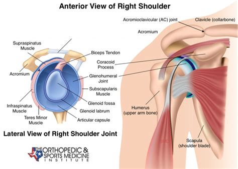 Shoulder Exercise Conditioning Program - The Orthopedic & Sports Medicine Institute in Fort Worth