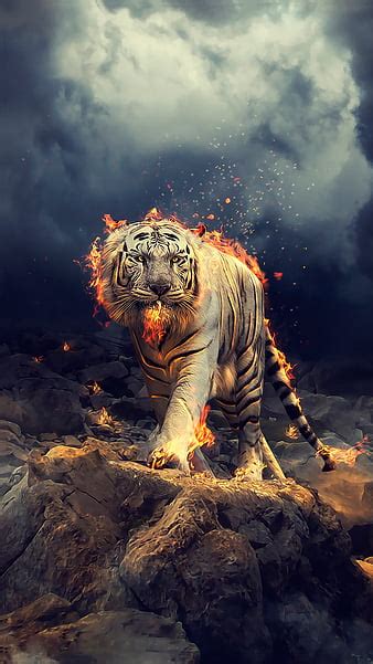 Fire And Water Tiger Wallpaper