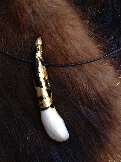 Items similar to Real moose tooth / jewelry / taxidermy / skull art ...