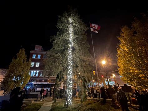 Jimmy Fallon pokes fun at Orillia's Christmas tree lighting fiasco - Bradford News