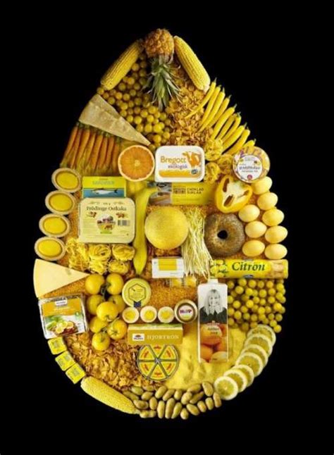 Cool Food Art - XciteFun.net