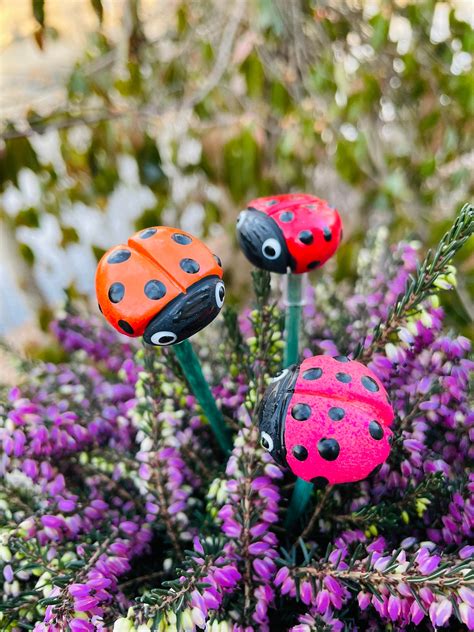 Ladybug Garden Stakes, 3 Cute Ladybug Garden Stakes,Potted plant Great ...