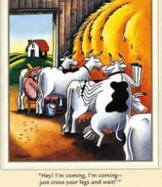 9 Cows ideas | far side comics, gary larson cartoons, far side cartoons