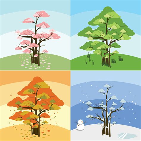 group of trees with four season trees in one vector, summer winter, autumn, fall, spring, and ...