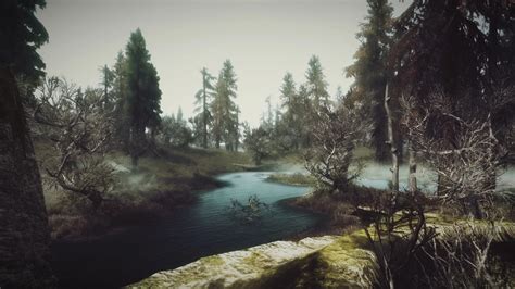 Morthal Swamp 3 at Skyrim Nexus - Mods and Community