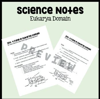 Fungi in Eukarya Domain Notes by Brooks Squared | TPT