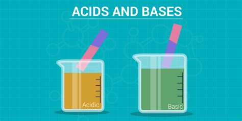 Difference Between Acid And Base | My XXX Hot Girl