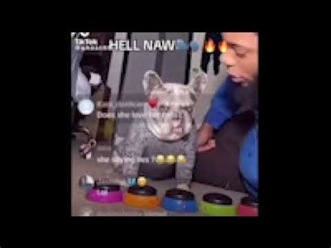 hell nah dog - YouTube