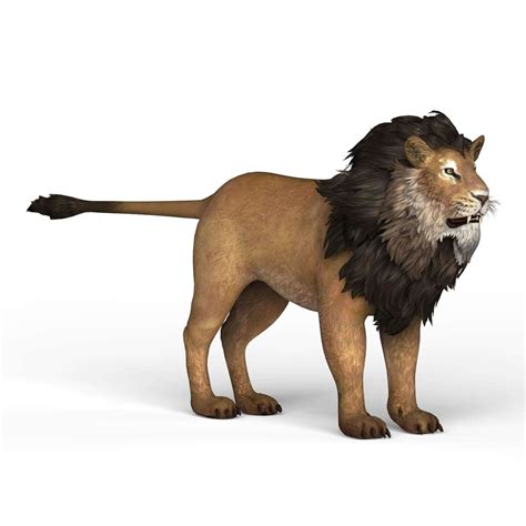 Lion 3d Model Cartoon