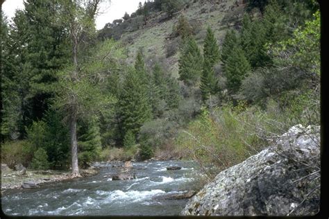 Public Domain Picture | The Malheur River in the Malheur River ...