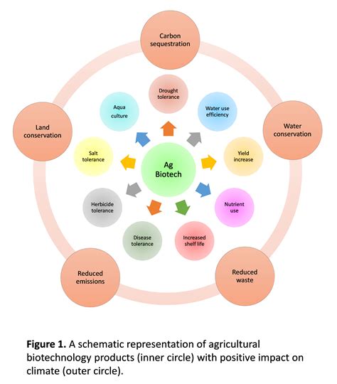 Agricultural Biotechnology: A Vital Tool to Address Food Security and ...