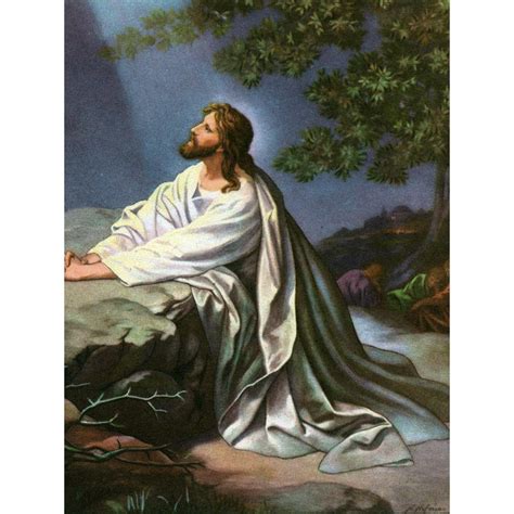 Jesus Prays In The Garden Of Gethsemane | Images and Photos finder