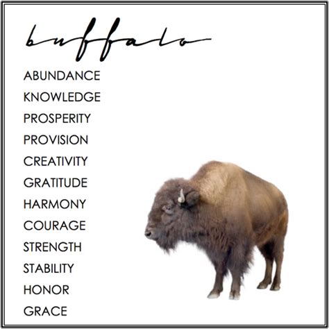 BUFFALO SYMBOLISM | Animal totem spirit guides, Animal symbolism ...