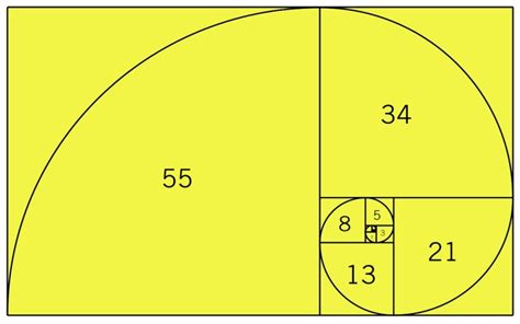 The Golden Section – Fibonacci | Life of an Architect