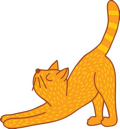 Cat Stretching Flat Design Transparent PNG & SVG Vector