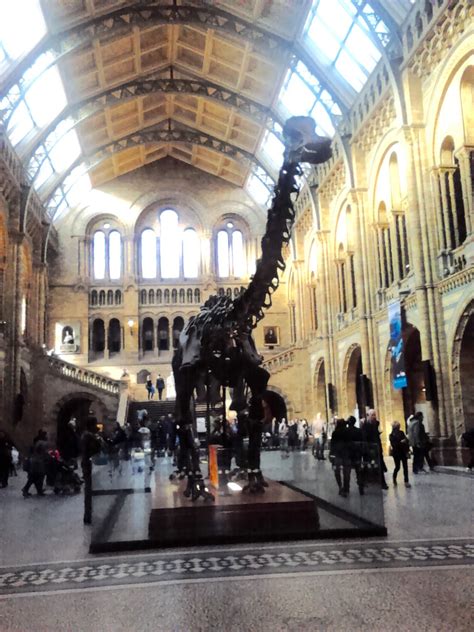 Dippy the Diplodocus at The Natural History Museum. | Natural history museum, History museum ...