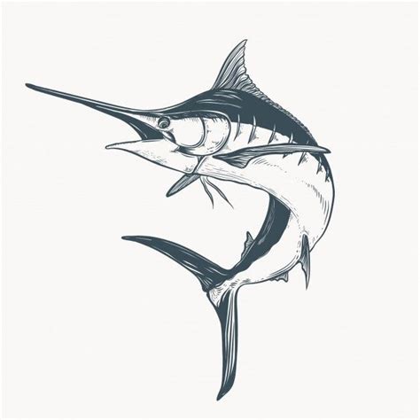 Marlin desenho ilustração | Vetor Premium | Tatuagem de peixe, Coisas ...