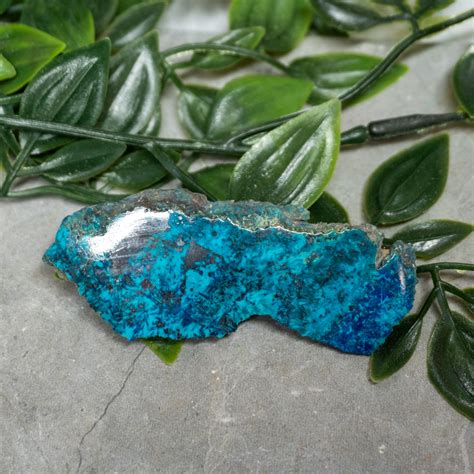 Chrysocolla, Shattuckite, and Tenorite Slab #10 - The Crystal Council