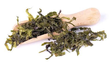 A Guide to Wakame Seaweed, with Tips, Ideas and Recipes