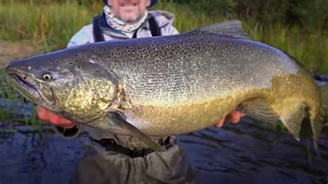 Where to Fly Fish on the Salmon River New York (Maps and More) - Guide ...