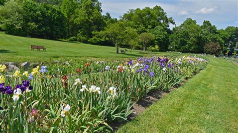 Presby Memorial Iris Garden: A Rainbow on the Hill — Enchanted Gardens