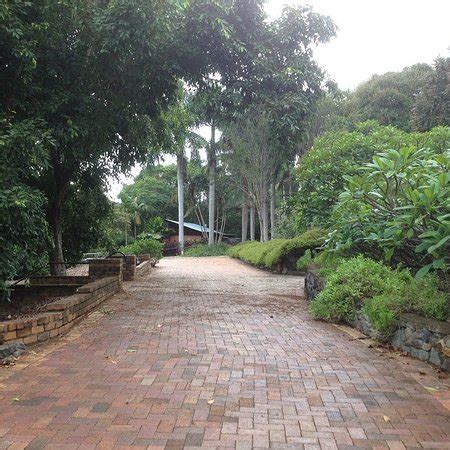 Noosa Botanic Gardens (Cooroy, Australia): UPDATED 2018 Top Tips Before You Go (with Photos ...