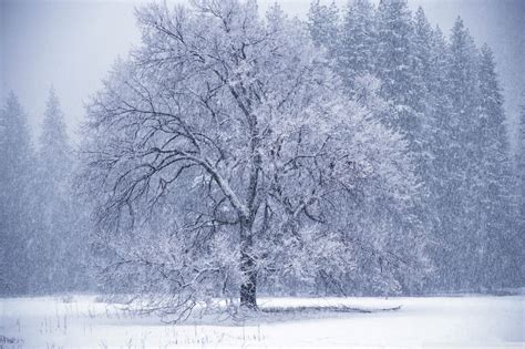 Fondos de pantalla : 2000x1333 px, tormenta de nieve, gotas, campos, Copos, Paisajes, Nevando ...