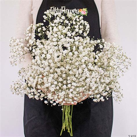 Bulk Flowers Fresh Baby's Breath White Flowers | Oriental Trading