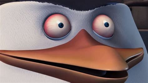 Pin by Emmy on reaction: confusion | Penguins of madagascar, Penguin ...