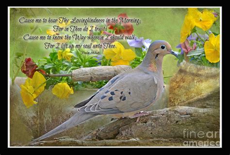 Bible Quotes About Doves. QuotesGram