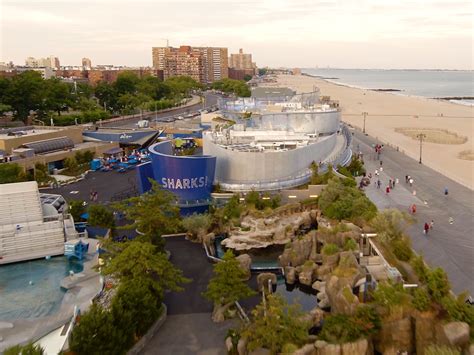 The New York Aquarium is Fully Open, Restored, & Fully Amazing. | New York City, NY Patch