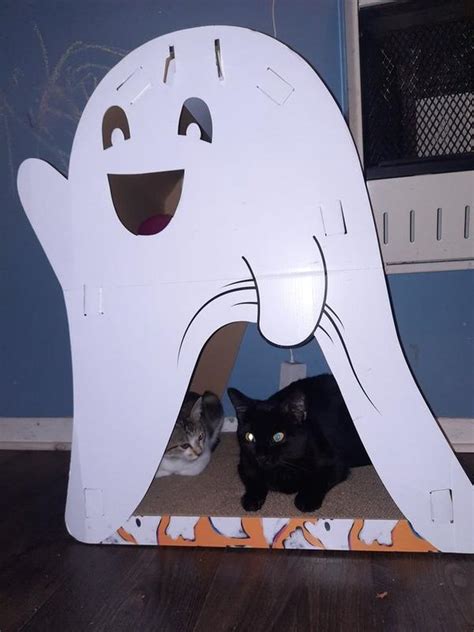 FRISCO Halloween Cutie Ghost Cardboard Cat House with Catnip - Chewy.com