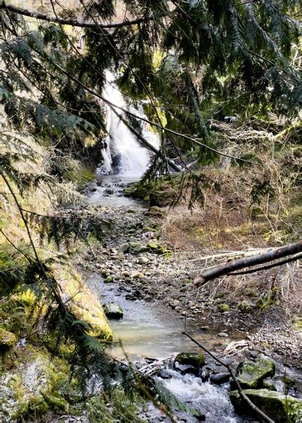 Day Hike - Little Mashel Falls- Big Impact — The Mountaineers