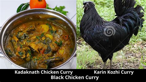 Kadaknath Chicken Curry Recipe | Karin Kozhi Curry Recipe | Black Chicken Curry - Easycooktips