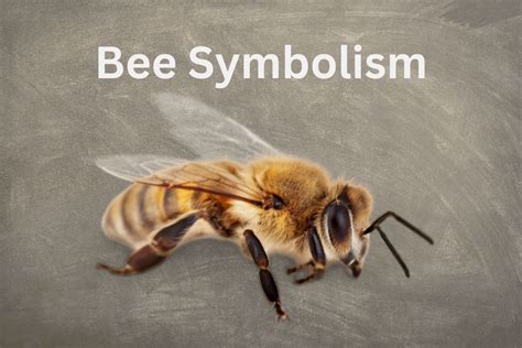 The Hidden Meaning Of Bee Symbolism - SymbolScholar