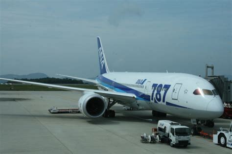 Review: Boeing 787 in the ANA Domestic Configuration - Travel Codex