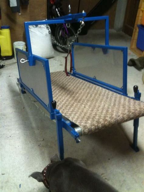 The Best Ideas for Dog Treadmill Diy - Home, Family, Style and Art Ideas