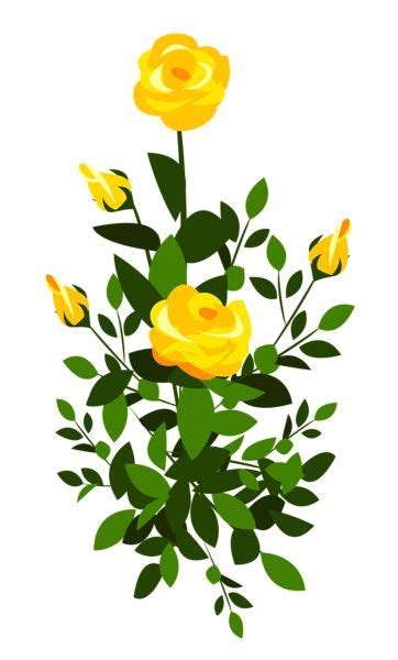 Yellow Rose Bush PNG Clipart Image | Yellow roses, Clip art, Flower clipart