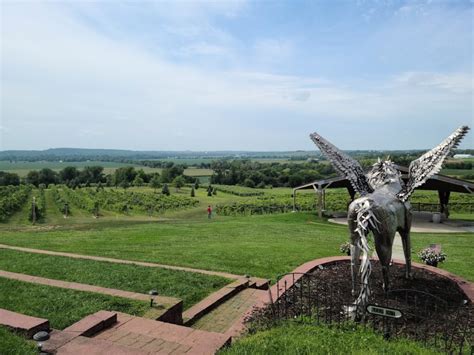 Best 6 Wineries in Omaha NE: A Guide to the Top Local Vineyards - TravelEnvoy