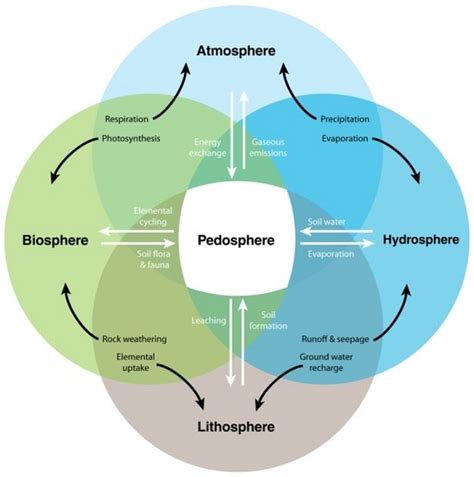 Interactive processes linking the pedosphere with the atmosphere ...