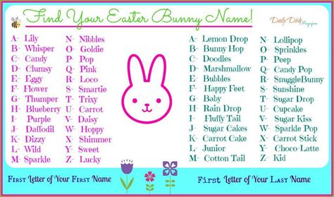 Best Names For Rabbits As Pets | ABOUT PETS