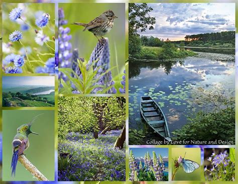 love for nature and design Collage Board, Color Collage, Photography ...